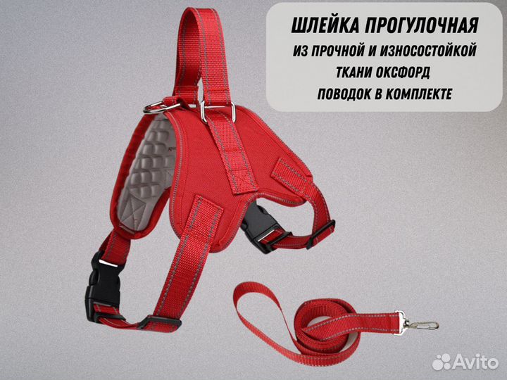 Шлейка прогулочная с поводком для кошек и собак