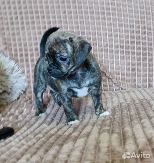 Милый малыш