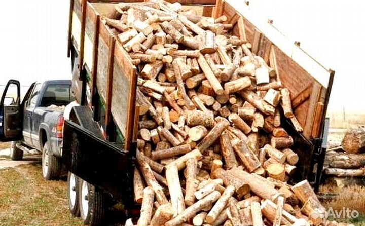 Дрова с Зеленогорска