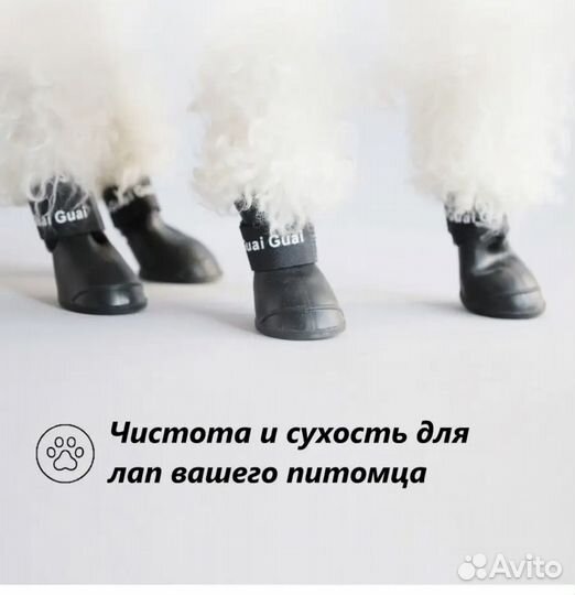 Обувь для собак