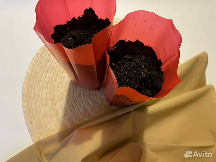 Пакеты для рассады 1 литр