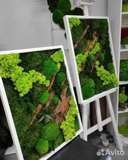 Панно, картины, озеленение, мох