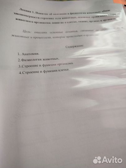 Лекции по ветеринарии