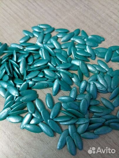 Самый урожайный гибрид огурца из Испании Бэрд F1