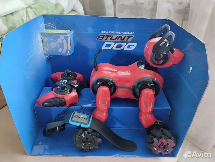 Радиоуправляемая собака