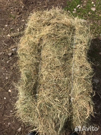 Продам сено в тюках
