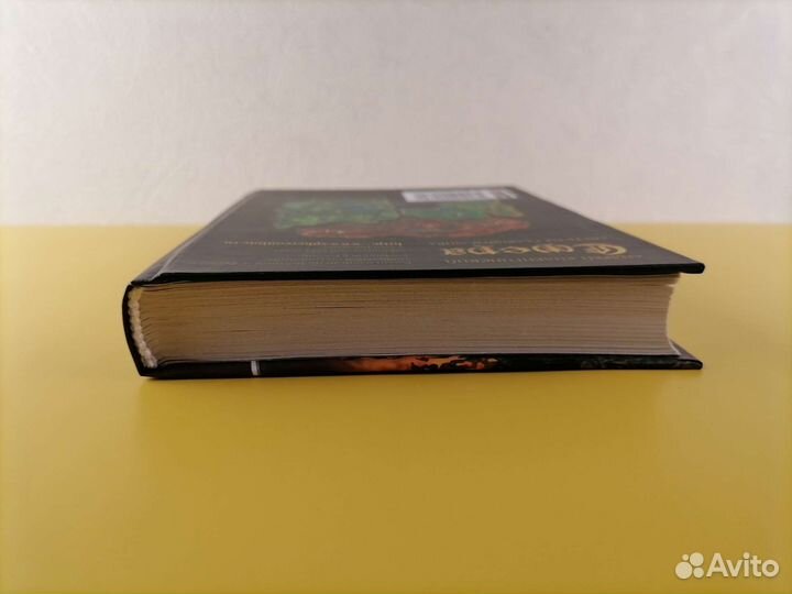 Гость из главного мира