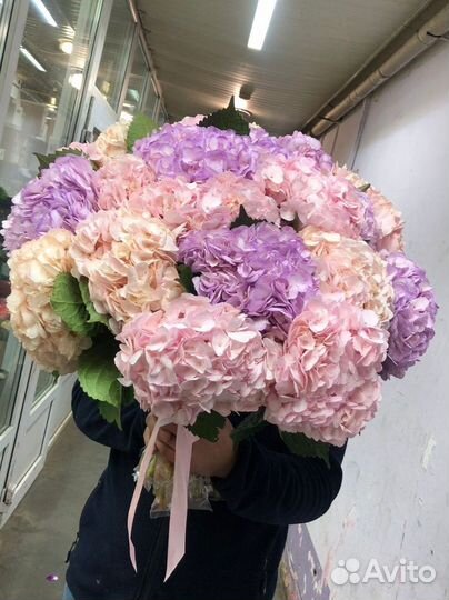 Букет цветов гортензия, Цветы Букеты с доставкой