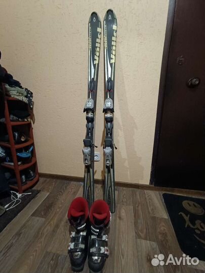 Горные лыжи