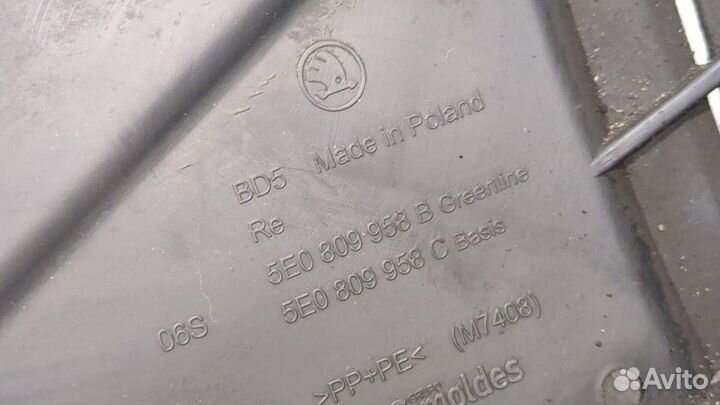 Защита арок (подкрылок) Skoda Octavia (A7), 2016