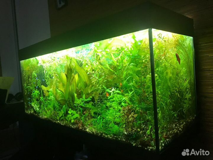 Светильник juwel mulтilux LED к RIO 240 260 350NEW