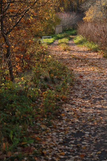 Участок 15 сот. (ИЖС)