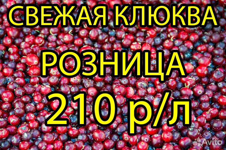 Клюква свежая