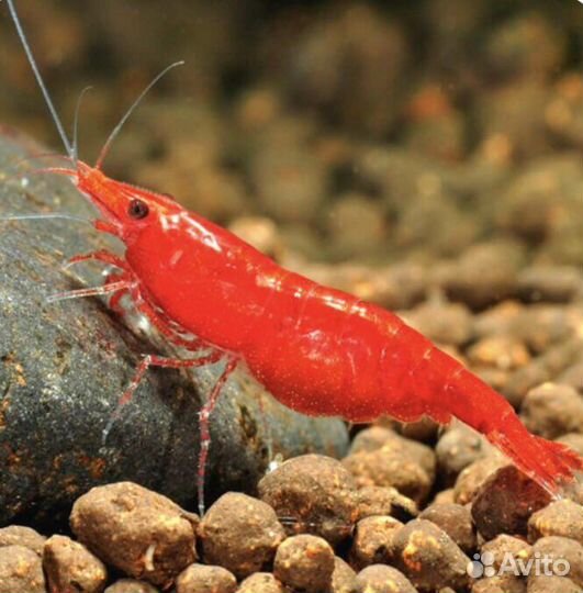 Аквариум с тумбой