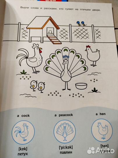 Раскраски с наклейками Мой первый english 3шт