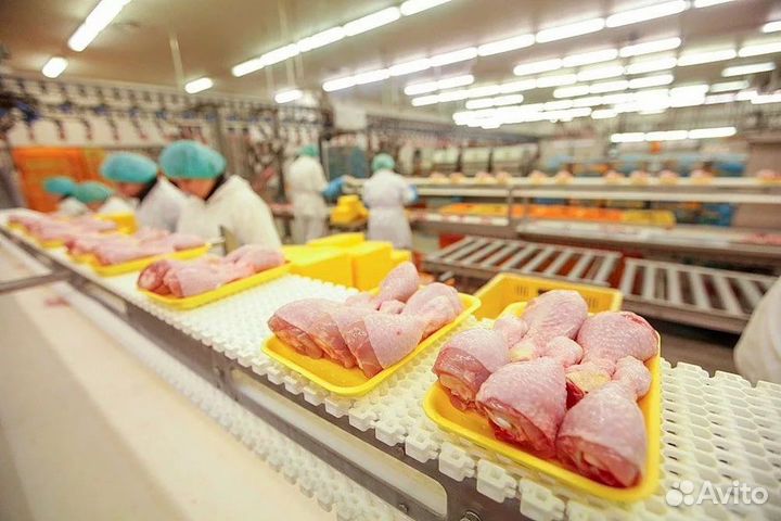 Упаковщики на птицефабрику Вахта