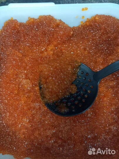 Продам красную икру кеты