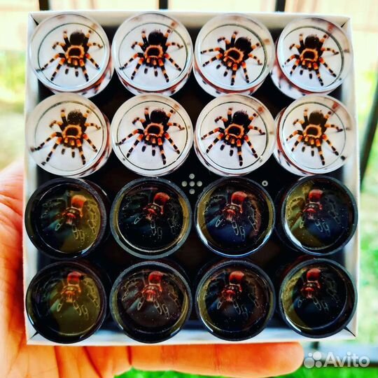 Фишки для нард