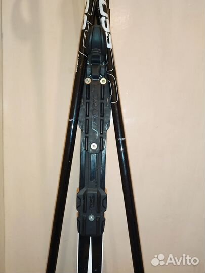 Лыжи Tisa top classic
