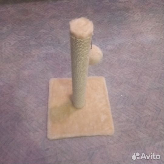 Когтеточка