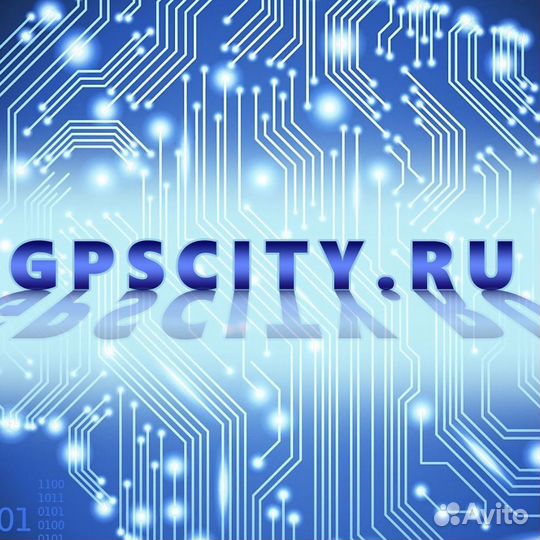 Ремонт ошейников Garmin. DC50, T5 TT15