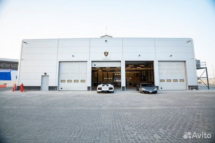 Автоэлектрик с выездом с 11 до 55516