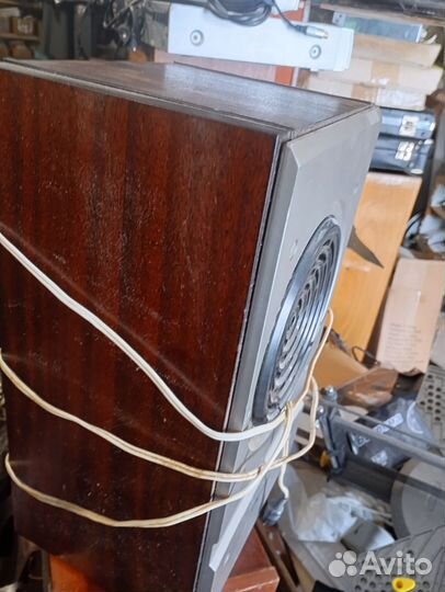 Колонка Сириус