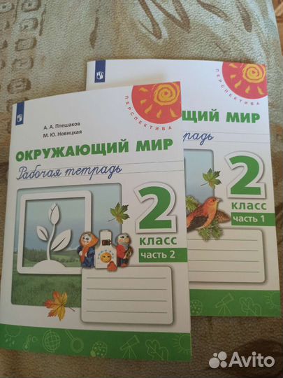 Рабочая тетрадь по окружающему миру 2 класс