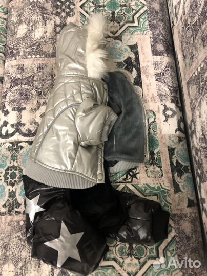 Теплая зимнний комплект для вашего питомца