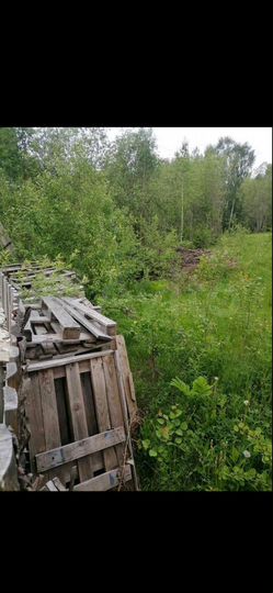 Участок 16,1 сот. (СНТ, ДНП)
