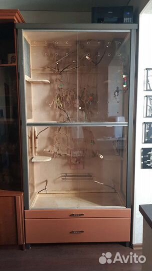 Клетка витрина