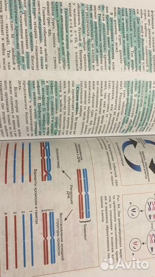 Биология 10-11 класс1-2 часть П.М. Бородин