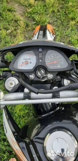 Продам Рейсер пантера 300