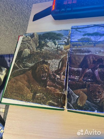 Большая Энциклопедия Животных