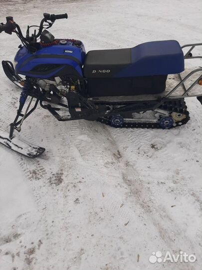 Irbis Dingo t125