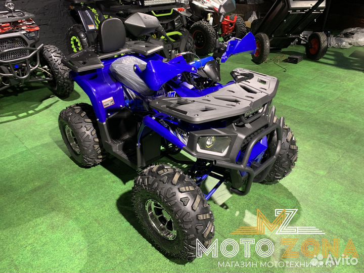 Квадроцикл Bison 125 Hunter armour PRO (синий)
