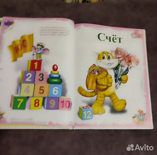 Книга д/детей Считарь