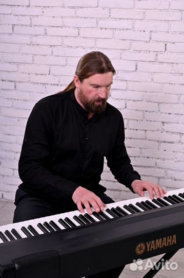 Пианист музыкант Гармонист