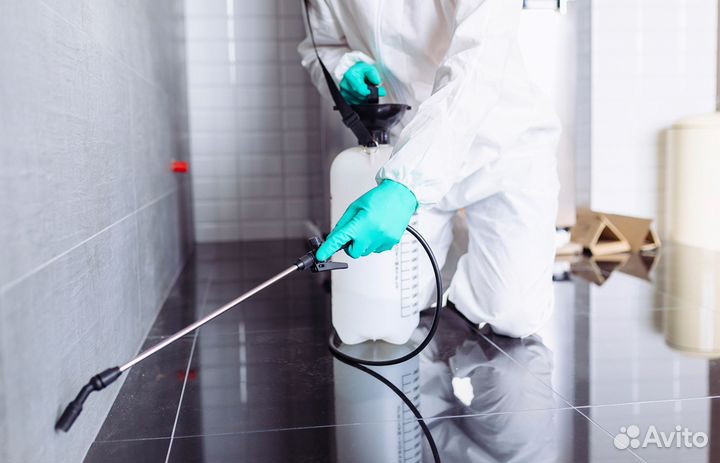 Травля тараканов, клопов, блох, мышей, крыс