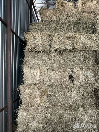 Сено в тюках (разнотравье)