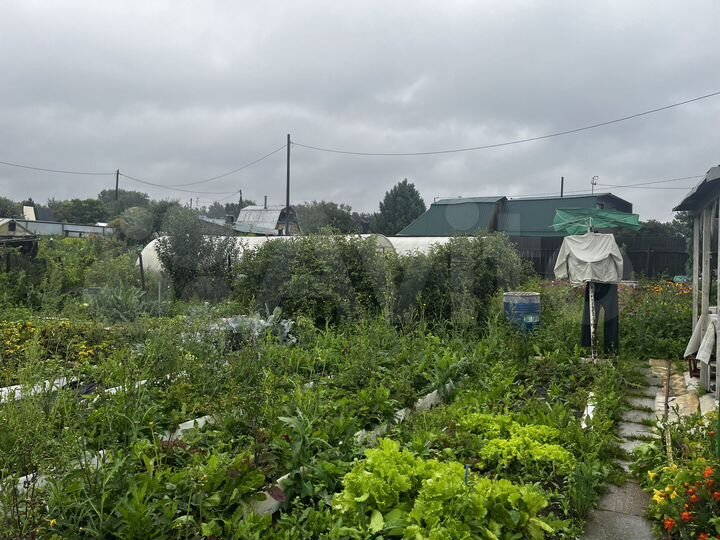 Участок 3,9 сот. (СНТ, ДНП)