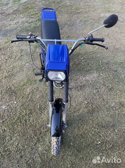 Зид 50 пилот