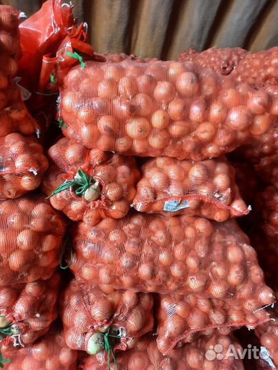 Лук, морковь (оптом)