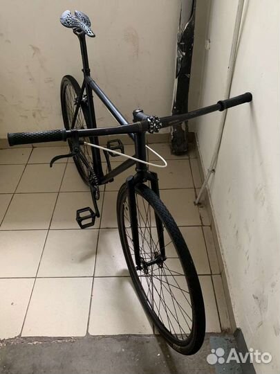 Octopus vulgaris st 58