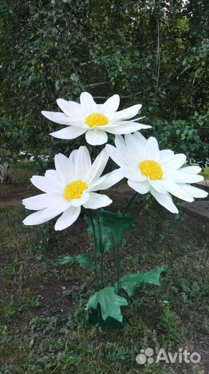 Цветы ростовые и фотозоны