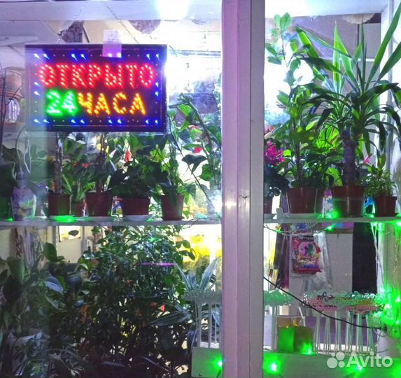 Вывеска Открыто 24