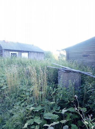 Дом 150 м² на участке 1,5 га