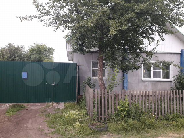 авито шумиха недвижимость. шумиха домики. деревня карандашово шумихинского района. авито шумиха дома. купить дом в шумихе.