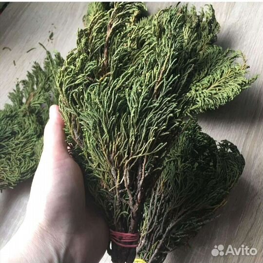 Можжевельник. Хандизэ