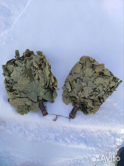 Дубовые веники для бани